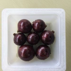 Jabuticaba