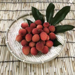 Litchi chinensis