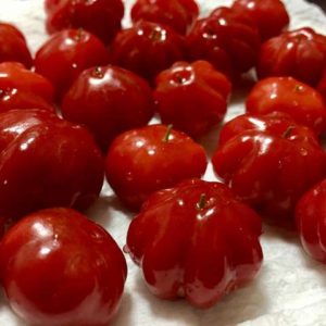 Surinam Cherry