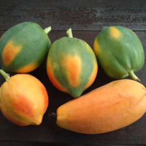 papaya