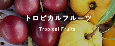 トロピカルフルーツの品種